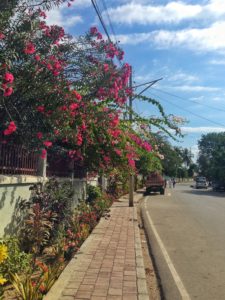 Budget travel and photography in East Timor