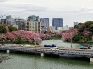 Budget travel and photography in Japan