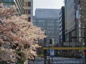 Budget travel and photography in Japan