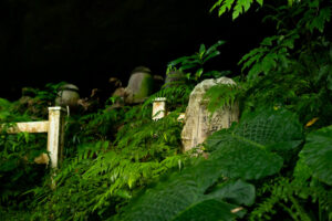 Shrine in the jungle of Keelung