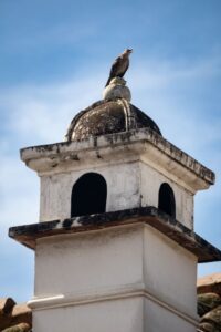 A quiscaluls mexicanus crowns the dome of an ancient construction in Antigua Guatemala