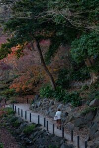 A lonely walk through a park near Tokyo Tower