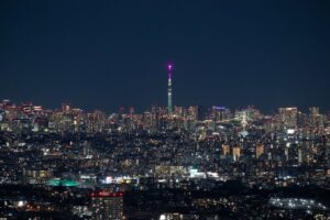 Tokyo Skytree in the distance