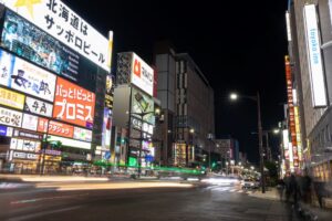 Flashing lights of Susukino District Flashing lights of Susukino District