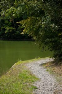 Lakeside trail in Onuma Lake
