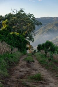 The charm of the Salvadoran countryside