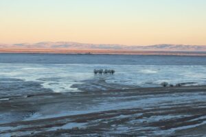 Golden and bluish tones over the Orkhon River during the afternoon Golden and bluish tones over the Orkhon River during the afternoon