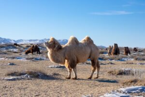 I had the time of my life photographing these incredible creatures I had the time of my life photographing these incredible creatures