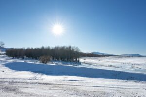 The coldest months in Mongolia are December and January The coldest months in Mongolia are December and January