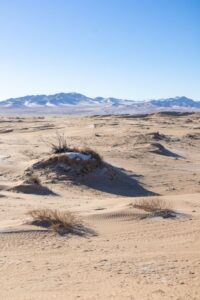 The dunes of the mini Gobi The dunes of the mini Gobi