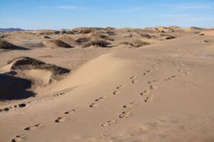 We moved on after sliding down some dunes We moved on after sliding down some dunes